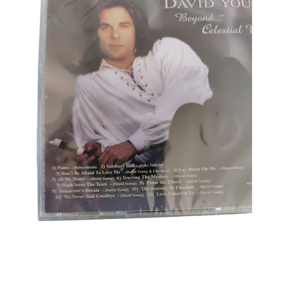 David Young Beyond Celestial Winds - Picture 2 of 3